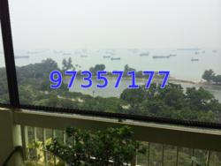 laguna-park photo thumbnail #2